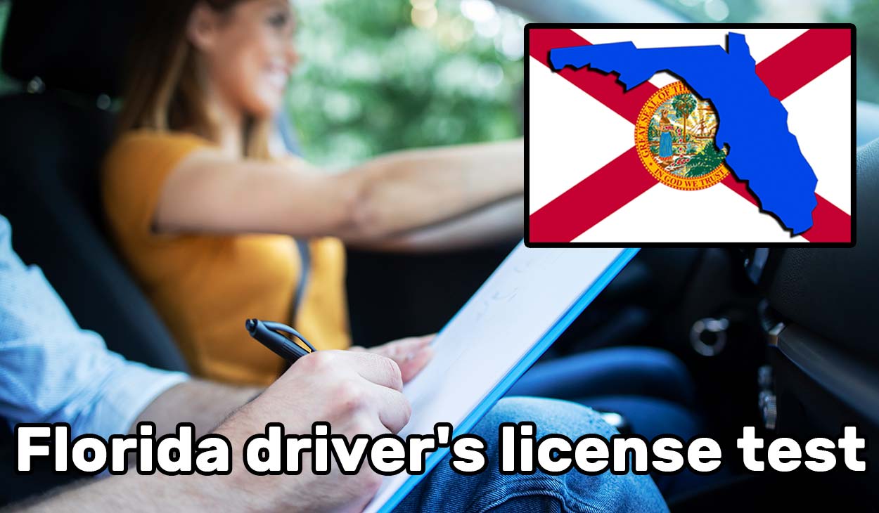 Florida permit test for driver's license